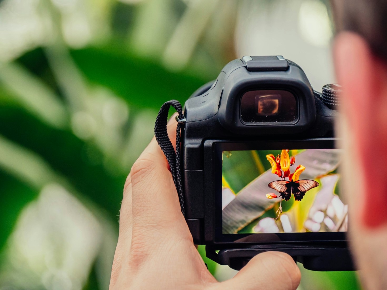 10 tips för att välja rätt fotografi för ditt hem